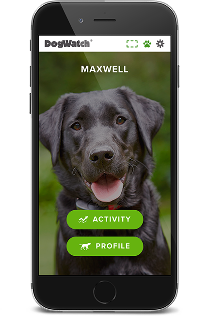 DogWatch SE, Hamilton, Georgia | SmartFence WebApp Image