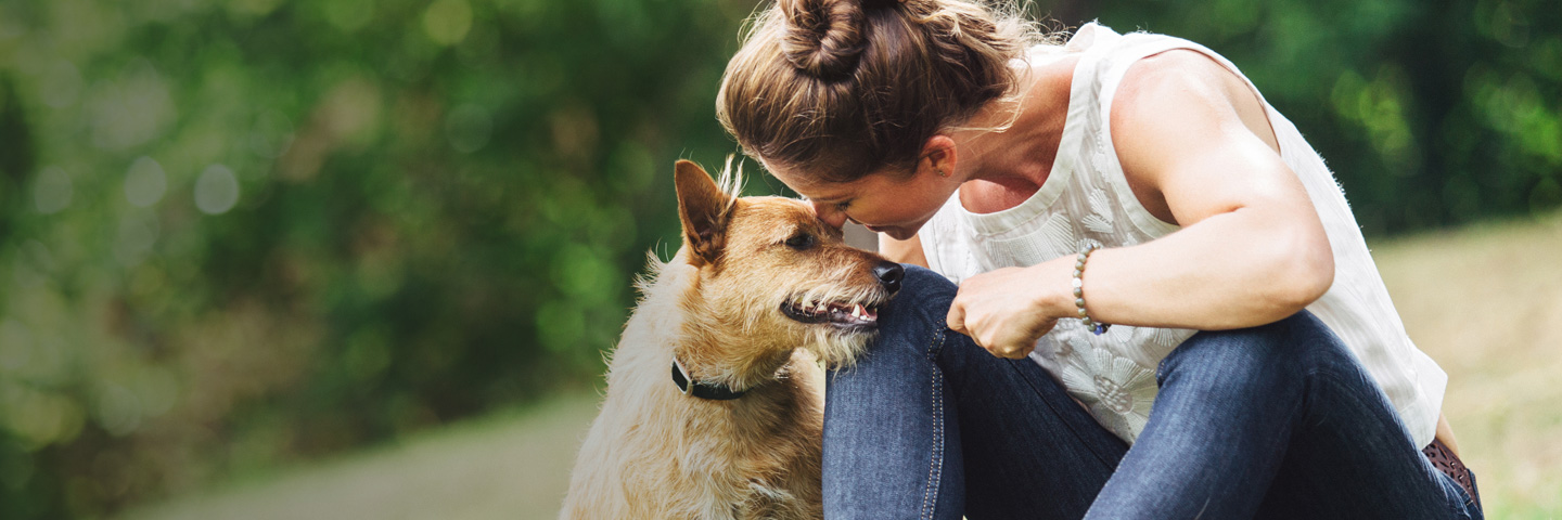 DogWatch SE, Hamilton, Georgia | BarkCollar No-Bark Trainer Slider Image