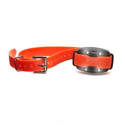 BigLeash® S-15 2nd Dog Receiver Collar Image